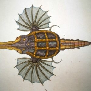 Jean-Gabriel Prêtre (1768-1849) - lot of -6- Original Engraving on Pegasus Dragon Fish etc xb1