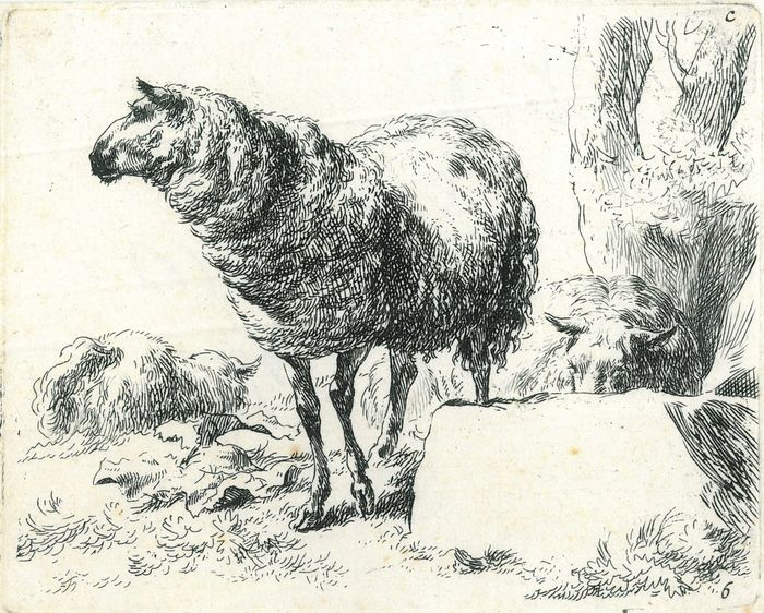 Nicolaes Berchem (1620-1683) - Drie schapen