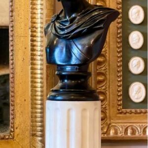 Büste, der Apollo des Belvedere - 40 cm (1) - Patinierte Bronze - Zweite Hälfte des 19. Jahrhunderts
