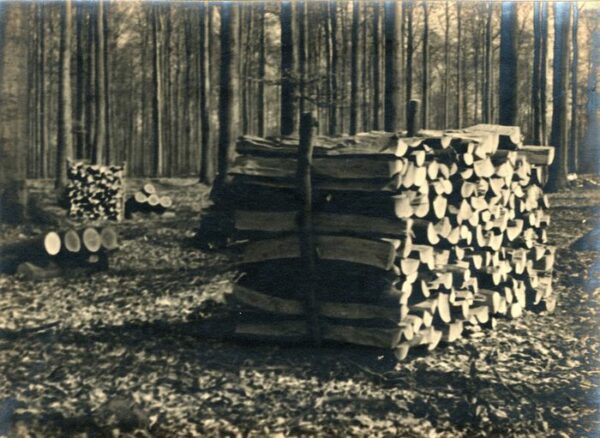 Maurice Broquet (1909-?) - "Bois coupé"