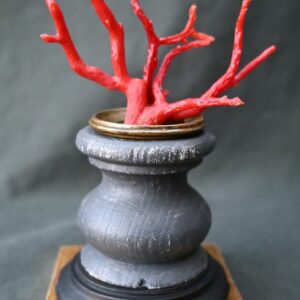 Mediterraner roter Korallenständer, Kuriositätenschrank, Kunstkammer - Corallium rubrum - Holz, Vergoldet - um 1900
