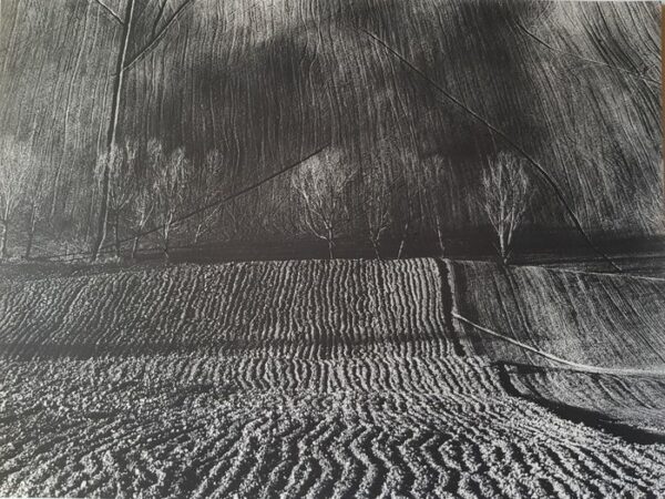 Giorgio Pegoli (1938) - Paesaggio invernale Marchigiano