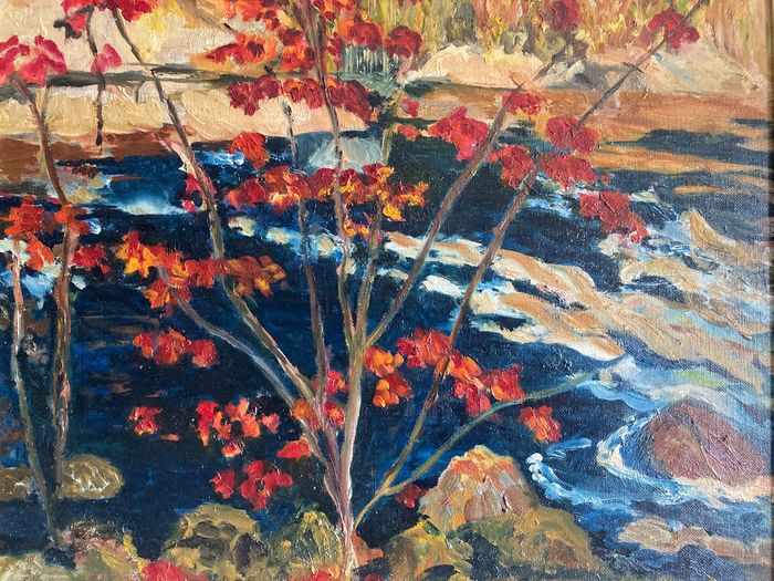 Ecole Française Fauvisme du 20ème siècle - L'arbre rouge