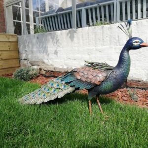 Sehr große Skulptur eines Pfaus - Metall - Kürzlich