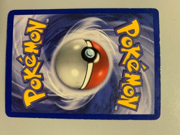 Gamefreak - Pokémon - Sammlung Collezione carte Pokémon /Amazing WOTC holo Collection incl Charizard