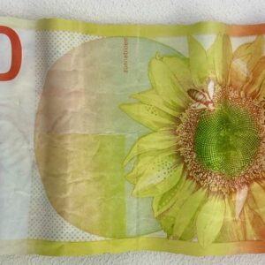 Ad van Hassel - Pop Art Skulptur - XXL 50 Gulden Banknote