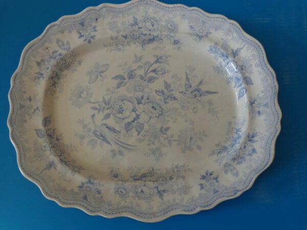 Wedgwood - Servierplatte - Keramik